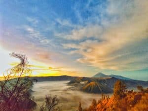 bromo ijen shared tour